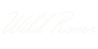 Digital Marketing and HubSpot Solutions Provider | Wild Rover